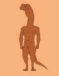 2024 4_toes abs anthro balls biped brown_body casual_nudity digital_media_(artwork) dinosaur diplodocid extinct feet flaccid full-length_portrait genitals hi_res humanoid_genitalia humanoid_penis long_neck male muscular muscular_anthro muscular_male narrowed_eyes nude orange_background penis portrait prehistoric_species reptile sauropod sauropodomorph scalie simple_background standing toes zagz 