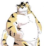  2008 anthro asian_clothing belly black_nose clothing digital_media_(artwork) east_asian_clothing felid fundoshi japanese_clothing kemono kotori low_res male mammal navel nipples oekaki overweight overweight_anthro overweight_male pantherine simple_background solo tiger underwear white_background 