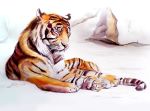  ambiguous_gender eyes_closed felid feral fur mammal orange_body orange_fur outside pantherine solo stripes tiger whiskers yana_cot 