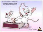  animaniacs pinky pinky_and_the_brain tagme the_brain 