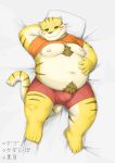  2020 anthro barontoko belly blush bulge clothed clothing felid fur hi_res humanoid_hands japanese_text kemono lying male mammal moobs navel nipples open_clothing open_shirt open_topwear overweight overweight_anthro overweight_male pantherine pillow shirt solo text tiger topwear underwear yellow_body yellow_fur 