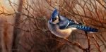  ambiguous_gender avian bird blue_jay corvid english_text feral jay_(bird) nambroth new_world_jay oil_painting_(artwork) oscine outside painting_(artwork) passerine solo text traditional_media_(artwork) 