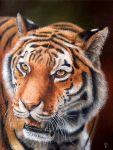  3:4 ambiguous_gender dimwolf felid feral fur mammal oil_painting_(artwork) orange_body orange_fur painting_(artwork) pantherine solo stripes_(marking) tiger traditional_media_(artwork) whiskers 