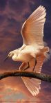  ambiguous_gender avian bird branch cloud egretta feral heron nambroth oil_painting_(artwork) outside painting_(artwork) pelecaniform sky snowy_egret solo traditional_media_(artwork) 