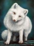  3:4 ambiguous_gender arctic_fox brown_eyes canid canine dimwolf feral fox fur looking_at_viewer mammal oil_painting_(artwork) painting_(artwork) solo traditional_media_(artwork) white_body white_fur 