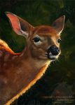  2018 ambiguous_gender black_eyes brown_body brown_fur capreoline cervid english_text fur mammal nambroth oil_painting_(artwork) painting_(artwork) solo text traditional_media_(artwork) white-tailed_deer 