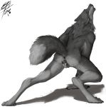  2020 anatomically_correct animal_genitalia animal_pussy anthro anus canid canine canine_pussy canis female fingering fur genitals lizet mammal masturbation nude pussy solo vaginal vaginal_fingering vaginal_masturbation vera_(lizet) were werecanid werecanine werewolf wolf 