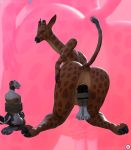  anthro bdsm big_butt bondage bound butt domestic_cat felid feline felis female female/female giraffe giraffid group hi_res huge_butt larger_female loneclaw mammal sigrid_(loneclaw) size_difference smaller_female thick_thighs unbirthing vaginal vore wide_hips 