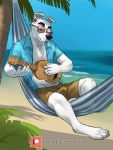  2020 3:4 animal_crossing anthro beach black_nose bottomwear canid canine canis claws clothed clothing domestic_dog ear_piercing eclipsewolf eyewear floppy_ears fur gauged_ear hammock hi_res k.k._slider looking_down lounging lute male mammal musical_instrument nintendo open_clothing open_shirt open_topwear outside palm_tree patreon piercing playing_music plucked_string_instrument sand seaside shirt shorts sky solo string_instrument sunglasses tattoo topwear tree ukulele video_games water white_body white_fur 