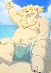  2020 anthro beach belly bulge canid canine canis clothing cu_sith_(tas) domestic_dog eyes_closed hi_res humanoid_hands kemono male mammal moobs nipples outside seaside sitting solo swimwear tokyo_afterschool_summoners video_games water xnxiaoniu 