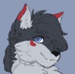  ambiguous_gender black_body black_fur black_hair blue_background blue_eyes canid canine canis ceruleum cheek_tuft ear_markings ear_tuft facial_markings facial_tuft fangs fluffy fluffy_ears fur grey_body grey_fur grey_hair hair hair_over_eye head_markings heyitssam_(fursona) looking_at_viewer mammal markings neck_tuft one_eye_obstructed red_body red_ears red_fur red_markings semi-anthro simple_background smile tuft white_body white_fur wolf 