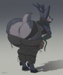  anthro ass_up bent_over big_butt bottomwear bubble_butt butt capreoline cervid clothing curvy_figure female fur genitals grey_body grey_fur half_naked hi_res huge_butt kassandra_(xxdarkxwolf15) looking_at_viewer looking_back mammal pants presenting presenting_hindquarters presenting_pussy pussy red_eyes reindeer schwoo simple_background smile solo thick_thighs voluptuous wide_hips 