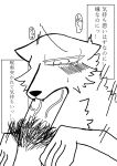 absurd_res big_penis blush brown_hair canid canine canis domestic_dog duo erection fellatio genitals hair hi_res male male/male mammal oral penile penis pubes sex souki_kinpira51 tears_of_desperation tears_of_fear tears_of_sadness tears_on_cheek text thick_penis translation_request vein veiny_penis wolf