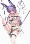  1girl absurdres animal_ears arknights bdsm blush bondage bound breasts c113oreo chromatic_aberration cleavage collarbone eyes_visible_through_hair flying_sweatdrops foot_out_of_frame grey_background hair_between_eyes hashtag-only_commentary highres inset large_breasts long_hair looking_at_viewer material_growth name_connection navel object_namesake oripathy_lesion_(arknights) purple_eyes purple_hair request_inset rope rope_(arknights) solo speech_bubble translation_request 