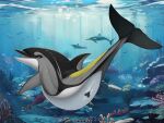 2024 ambient_fish ambient_sealife anatomically_correct anatomically_correct_genitalia anatomically_correct_pussy animal_genitalia animal_pussy anthozoan anus atlantic_white-sided_dolphin blowhole blue_eyes butt cetacean cetacean_genitalia cetacean_pussy cnidarian coral day detailed_background dolphin dorsal_fin female female_feral feral fin flippers genitals grey_body grey_skin heart_(marking) hi_res looking_at_viewer looking_back looking_back_at_viewer mammal marine markings narrowed_eyes oceanic_dolphin open_mouth presenting presenting_anus presenting_hindquarters presenting_pussy pussy savi_(rovoska) sea solo tail tail_fin teeth text tongue toothed_whale truegrave9 underwater water white-sided_dolphin