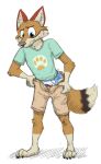 anthro blue_eyes blush bottomwear brown_body brown_fur canid canine canis clean_diaper clothed clothing coyote diaper embarrassed fur hi_res male mammal open_bottomwear open_clothing open_pants pants pull-ups_(diaper) shirt shorts simple_background solo standing tan_body tan_fur topwear vanillayote wearing_diaper white_background