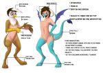 2_horns 3_toes avian beak blue_body blush brown_body brown_feathers chest_tuft claws dragon duo english_text eyewear feathers featureless_crotch friendship_is_magic gender_transformation gilda_(mlp) glasses growth gryphon hair hasbro horn human human_to_anthro long_tail male mammal mtf_transformation my_little_pony mythological_avian mythology princess_ember_(mlp) red_eyes scales scalie species_transformation tail_grab text toe_claws toes tomek1000 transformation tuft wing_growth wings yellow_eyes 