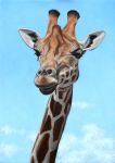  ambiguous_gender feral giraffe giraffid horn mammal oil_painting_(artwork) outside painterman33 painting_(artwork) sky solo traditional_media_(artwork) 