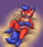 anthro ass_up balls blue blue_hair blue_markings blue_tail butt canid canine dipstick_tail eyes_closed fox fox_tail fraky_arts franky_(fraky_arts) genitals hair hi_res invalid_tag leg_markings lying male male/male mammal markings nude on_side open_mouth orange_body pawpads paws red_tail relaxing sex short_hair sleep_sex sleeping socks_(marking) solo tail tail_markings yawn zorro_estelar