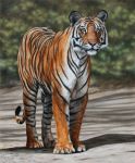  ambiguous_gender felid feral fur mammal oil_painting_(artwork) orange_body orange_fur outside painterman33 painting_(artwork) pantherine realistic solo tiger traditional_media_(artwork) whiskers 