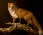  ambiguous_gender branch brown_eyes canid canine feral fox fur ivan-kovalevskiy looking_at_viewer mammal oil_painting_(artwork) orange_body orange_fur painting_(artwork) realistic red_fox solo traditional_media_(artwork) 