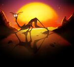 ambiguous_gender brown_body domestic_cat emaciated empty_eyes felid feline felis feral hairless hairless_cat hi_res imperatorcaesar long_legs long_neck mammal outside quadruped shadow side_view solo sphynx_(cat) sunset whiskers white_eyes