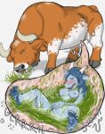 absurd_res anthro bovid bovine breasts cattle digital_media_(artwork) duo eating female female_prey feral feral_pred fingering food_in_stomach grazing hgythshs hi_res inside_stomach internal kobold male male/female mammal masturbation nude scalie sera_(sera) size_difference vaginal vaginal_fingering vore willing_prey