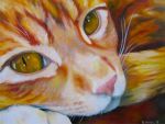  ambiguous_gender close-up domestic_cat felid feline felis feral fur mammal oil_painting_(artwork) orange_body orange_fur painting_(artwork) realistic solo ternfeather traditional_media_(artwork) whiskers 