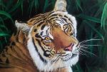  ambiguous_gender felid feral giselle-m looking_at_viewer mammal oil_painting_(artwork) outside painting_(artwork) pantherine plant realistic solo tiger traditional_media_(artwork) whiskers 