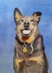  ambiguous_gender blue_background brown_eyes canid canine canis collar domestic_dog feral giselle-m mammal painting_(artwork) realistic simple_background solo tongue tongue_out traditional_media_(artwork) watercolor_(artwork) 