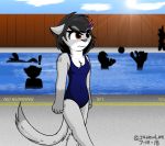  anthro clothing domestic_cat felid feline felis female fence group hazel_silvia jknewlife mammal silhouette swimming_pool swimwear 