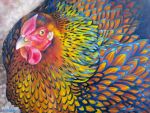  4:3 avian bird chicken feathers feral galliform gallus_(genus) multicolored_body multicolored_feathers oil_painting_(artwork) painting_(artwork) phasianid solo ternfeather traditional_media_(artwork) two_tone_body two_tone_feathers 