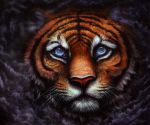  acrylic_painting_(artwork) ambiguous_gender blue_eyes felid feral looking_at_viewer luxdani mammal oil_painting_(artwork) painting_(artwork) pantherine realistic solo tiger traditional_media_(artwork) 