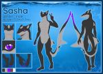  absurd_res anthro blue_border border fish fridaflame hi_res male marine sasha-the-shark shark 