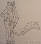  animal_humanoid anthro big_ears cat_humanoid cat_tail circumcised felid felid_humanoid feline feline_humanoid flaccid fluffy fluffy_tail genitals hindpaw humanoid long_tail male mammal mammal_humanoid mane muscular muscular_anthro muscular_male neck_tuft paws penis sketch sketchbook sketchy small_penis small_penis_appreciation softailfox solo tuft 