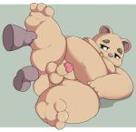  2020 anthro balls belly brown_body brown_fur butt erection fur genitals hi_res inigo_(kusosensei) kemono kusosensei male male/male mammal moobs nipples overweight overweight_male penis simple_background small_penis solo_focus ursid 