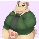  2020 anthro balls brown_body brown_fur clothing fur genitals hi_res inigo_(kusosensei) kemono kusosensei male mammal overweight overweight_anthro overweight_male penis shirt solo topwear ursid 