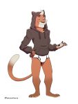  3:4 anthro black_clothing black_hoodie black_topwear briefs bulge clothing drawyourfursona felid hi_res hoodie hoodie/briefs_meme lemusuniverse lion male mammal meme meme_clothing pantherine simple_background solo standing topwear underwear white_clothing white_underwear 