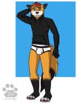  3:4 anthro black_clothing black_hoodie black_topwear briefs bulge canid canine clothing drawyourfursona fox hi_res hoodie hoodie/briefs_meme male mammal meme meme_clothing rottenskye simple_background solo standing topwear underwear white_clothing white_underwear 