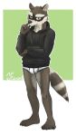  9:16 anthro black_clothing black_hoodie black_topwear briefs bulge clothing drawyourfursona hi_res hoodie hoodie/briefs_meme male mammal meme meme_clothing procyonid raccoon simple_background solo standing topwear underwear unknown_artist white_clothing white_underwear 