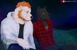  2020 anthro black_nose canid canine canis clothed clothing detailed_background digital_media_(artwork) grass male mammal nerton night outside sitting sky smile star starry_sky text url ursid wolf yellow_eyes 