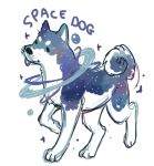  ambiguous_gender black_eyes canid canine canis closetcanibal cosmic_fur curled_tail domestic_dog english_text feral fur mammal raised_leg shiba_inu simple_background solo spitz standing star text tongue tongue_out whiskers white_background white_body white_fur 