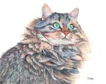  5:4 ambiguous_gender blue_eyes domestic_cat felid feline felis feral fur gouache_(artwork) grey_body grey_fur mammal painting_(artwork) realistic simple_background solo traditional_media_(artwork) whiskers white_background yuezeng-mn 