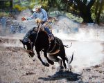  bridle dust equid equine fence feral hi_res horse human male mammal rodeo solo_focus theyfox tree 