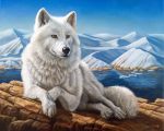  5:4 ambiguous_gender arctic_wolf brown_eyes canid canine canis dimwolf feral fur ice mammal oil_painting_(artwork) outside painting_(artwork) realistic snow solo traditional_media_(artwork) water white_body white_fur wolf 