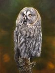 3:4 ambiguous_gender avian bird dimwolf feathers feral great_grey_owl grey_body grey_feathers oil_painting_(artwork) owl painting_(artwork) solo strix_(genus) traditional_media_(artwork) true_owl yellow_eyes 