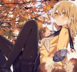  1girl autumn_leaves bangs black_footwear black_sailor_collar black_skirt blush commentary_request day eyebrows_behind_hair feet_out_of_frame food hair_between_eyes hedgehog highres knees_up leaf long_hair looking_at_viewer maple_leaf mole mole_under_eye neckerchief orange_eyes original outdoors pantyhose parted_lips pleated_skirt sailor_collar school_uniform serafuku signature skirt sofra solo steam sweater sweet_potato thighband_pantyhose twitter_username white_neckwear yakiimo yellow_sweater 