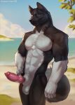 akita akitawash american_akita animal_genitalia animal_penis anthro beach black_body black_fur blue_eyes canid canine canine_genitalia canine_penis canis curled_tail domestic_dog erection fur genitals hi_res knot knotted_penis male mammal muscular muscular_male nude outside penis rosemary02 sand solo spitz tail water white_body white_fur