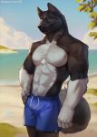 akita akitawash american_akita anthro bare_chest beach black_body black_fur blue_bottomwear blue_clothing blue_eyes blue_shorts bottomwear canid canine canis clothed clothing curled_tail domestic_dog fur hi_res male mammal muscular muscular_male outside rosemary02 sand shorts solo spitz swimming_trunks swimwear tail water white_body white_fur