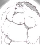  2020 absurd_res anthro asian_clothing bulge canid canine clothing east_asian_clothing fundoshi hi_res japanese_clothing kemono kumajjjj male mammal moobs navel nipples obese obese_anthro obese_male overweight overweight_anthro overweight_male solo underwear 